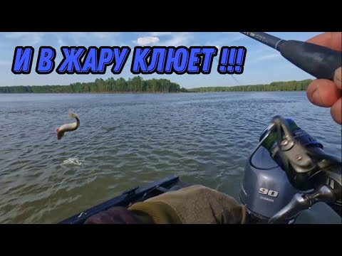 Видео: И В ПЕКЛО КЛЮЕТ !!! Рыбалка на Оби 15 июля 2024г. Щука, Судак, Окунь.