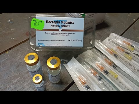 Видео: Як вакцинувати кроликів? Комплексна-комбінована вакцина Песторін-Мормікс! Вакцинація в 45 днів!!!