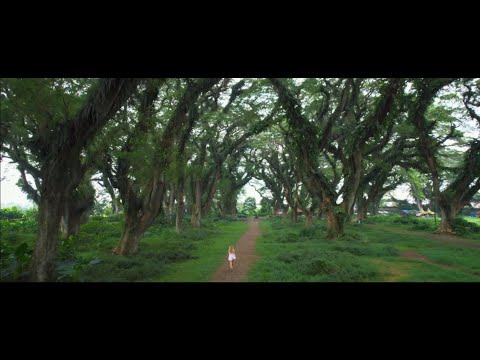 Видео: Трето писмо од циклусот Пет љубовни писма - Петре М. Андреевски