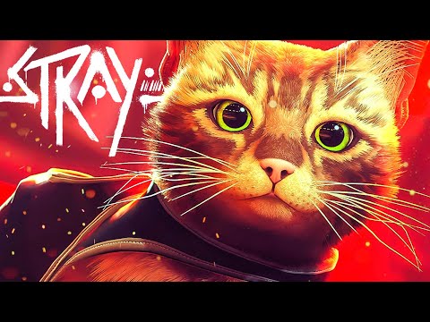 Видео: КИБЕРПАНК КИСКА В ЗОНЕ РИСКА! ► Stray Прохождение #1