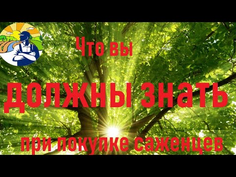 Видео: Что вы должны знать при покупке саженцев.