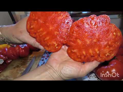 Видео: 30.08. Снова дегустируем!🍅