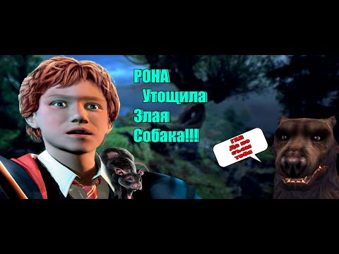Видео: Прохождение Гарри Поттера И Узник Азкабана РОНА съел Пёс №3