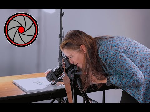 Видео: Макросъемка. 111 выпуск.