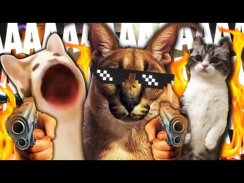 Видео: Коты окончательно СДУРЕЛИ!!! Я сдаюсь! 🐱 Five Nights with Floppa: Remastered #2