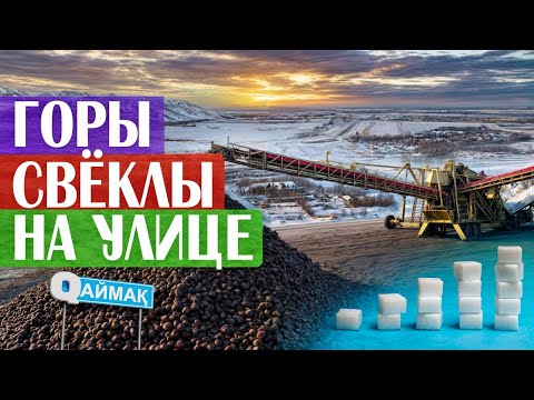 Видео: Qаймақ: село Мукры. Как делают сахар / цветочный бизнес / что такое керамзит?
