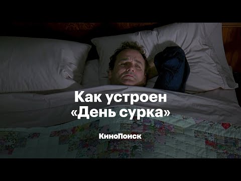 Видео: Как устроен «День сурка»