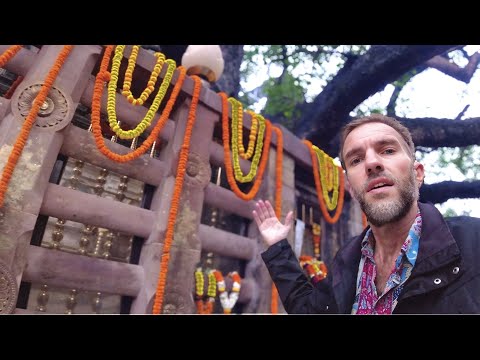 Видео: Бодхгая, Индия | Место просветления Будды