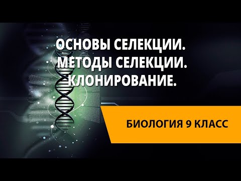 Видео: Основы селекции. Методы селекции. Биотехнология: достижения и перспективы развития. Клонирование