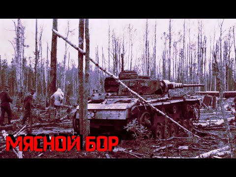 Видео: МЯСНОЙ БОР / ВОЛХОВСКИЙ ФРОНТ