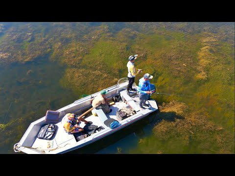 Видео: Они ХВАТАЮТ все что движется! САМАЯ ЗРЕЛИЩНАЯ РЫБАЛКА! Ловля ЗМЕЕГОЛОВА. Балхаш! Поклёвки с ДРОНА!