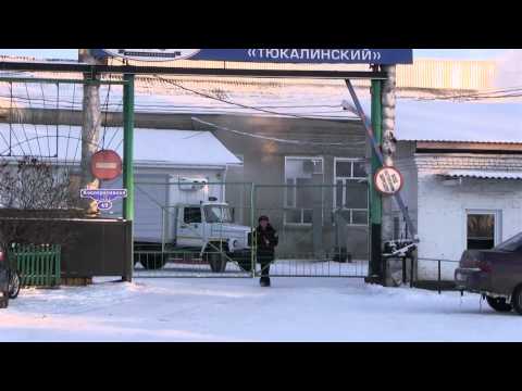 Видео: "Сырный скандал" в Тюкалинском районе