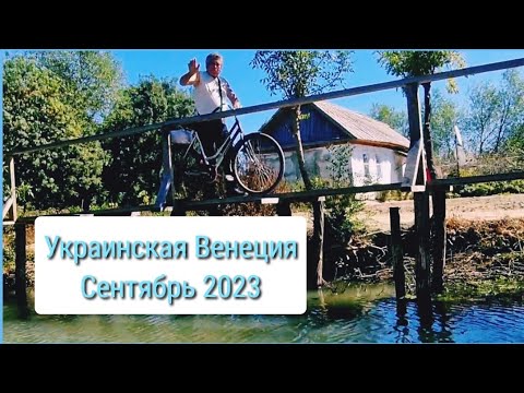 Видео: ВИЛКОВО. Вместо дорог ерики и кладки. Расшифруйте слово "вино"! Попали в джунгли...