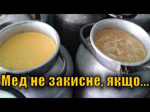 Видео: Чекаємо ціну на мед. Як зберігати мед?