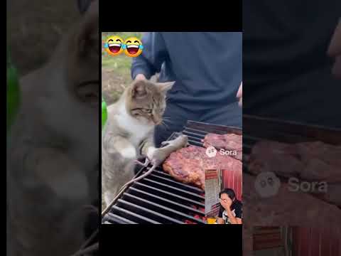 Видео: И я хочу😁😁😁