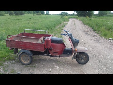 Видео: за дровами на стареньком мотороллере муравей