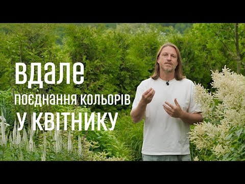 Видео: ЛАНДШАФТНИЙ ДИЗАЙН | ВДАЛЕ ПОЄДНАННЯ КОЛЬОРІВ У КВІТНИКУ