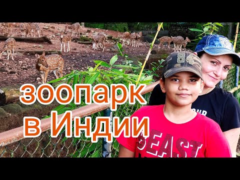 Видео: Зоопарк в Тривандруме! Наше Любимое Место!!! #индия