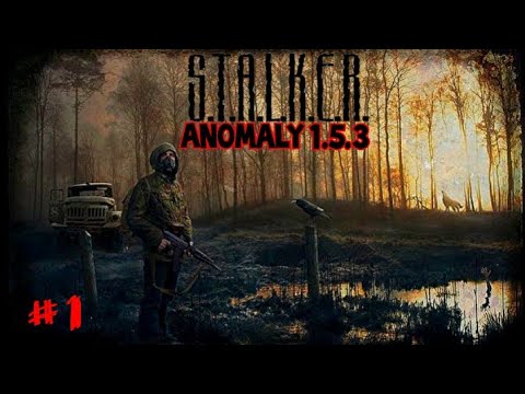 Видео: S.T.A.L.K.E.R.ANOMALY 1.5.3 #1 Тяжёлая Вылозка Болота.