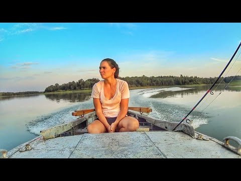 Видео: РЫБАЛКА С НОЧЕВКОЙ В ПОСЛЕДНИЙ ЛЕТНИЙ ДЕНЬ. ПЕРВЫЙ РАЗ ТАКОЕ ВИЖУ. ДОНКИ КРОКОДИЛ. Fishing