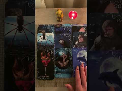 Видео: Кто нападает⚡️цели🎭бумеранги🪃🐍💛