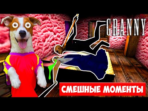 Видео: Подборка смешных моментов в Гренни от Локи Бобо