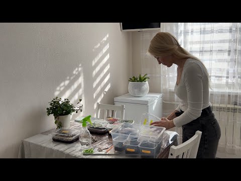 Видео: МОЯ РАССАДА В ФЕВРАЛЕ/ПЕРВЫЕ ВСХОДЫ И ПОСЕВ ПЕРЦА