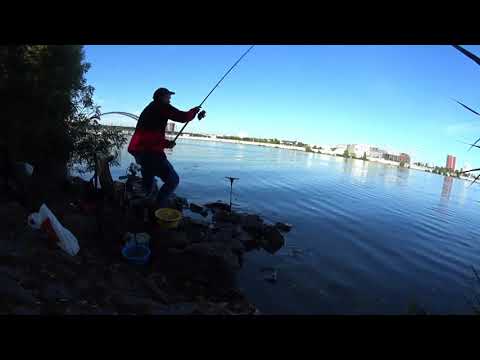 Видео: Рыбалка на камнях. Ловля леща на фидер. Левый берег Днепра.