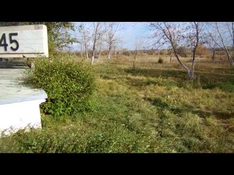 Видео: поркур  житикары