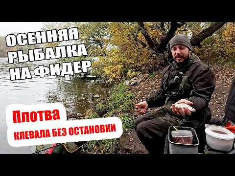 Видео: Осенняя рыбалка на фидер — плотва не давала скучать!