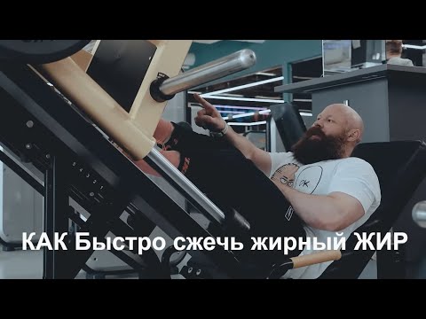 Видео: Жиросжигающая Тренировка для НОВИЧКА. Упражнения для Похудения.