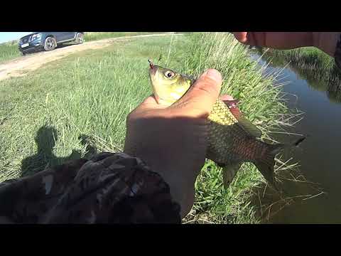 Видео: Карась на спиннинг Ловля на микроречке