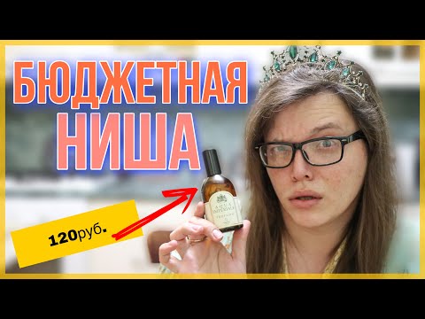Видео: 🔥 БАЛДЁЖНЫЕ БЮДЖЕТНЫЕ АРОМАТЫ ДО 300Р / бюджетная парфюмерия
