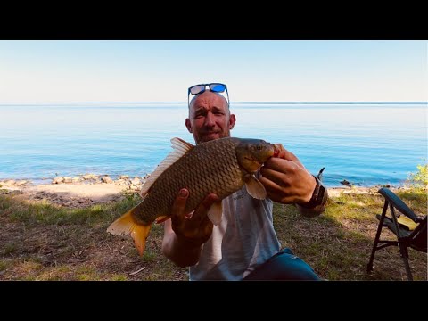 Видео: Рибалка на Дніпрі🎣Лящі та сазани на Канівському водосховищі🐟Кінець серпня 2025.