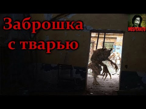 Видео: Истории на ночь - Заброшка с тварью