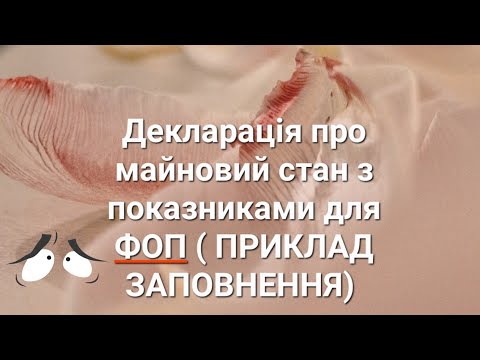 Видео: ДЕКЛАРАЦІЯ на загальній системі з показниками. ПРИКЛАД ЗАПОВНЕННЯ. ІНСТРУКЦІЯ ЯК, КОЛИ, КОМУ І ЧОМУ