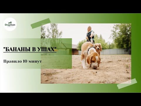 Видео: Упражнение "Бананы в ушах"