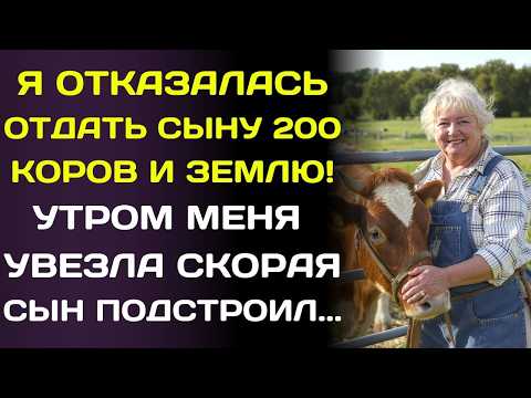 Видео: Я отказалась отдать сыну 600 гектаров и 200 коров… Через неделю он попытался продать всё...