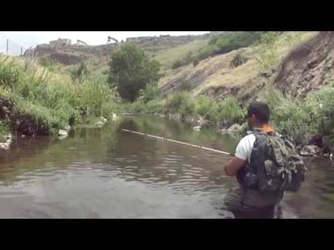 Видео: Ловля Радужной Форели в Армении/ФОРЕЛЬ  РАДУЖНАЯ/