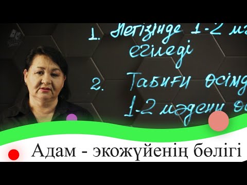 Видео: Адам - экожүйенің бөлігі. 7 сынып.