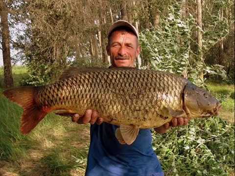 Видео: Моя жмыхоловка на сазана просто, практично Эффективно