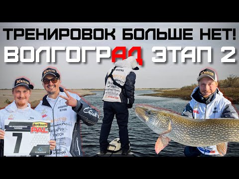 Видео: ТРЕНИРОВКИ ВСЕ! ТРЕНИРОВОК БОЛЬШЕ НЕТ! BetBoom PAL2025 | 2 ЭТАП | Волгоград