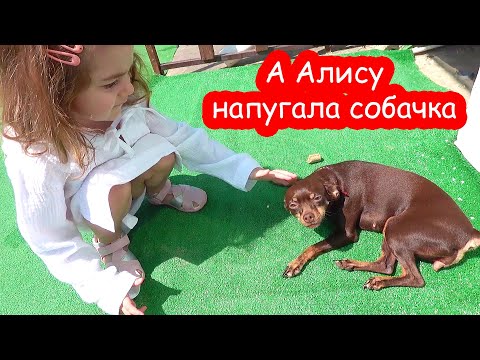 Видео: VLOG Я напугала отдыхающих на пляже