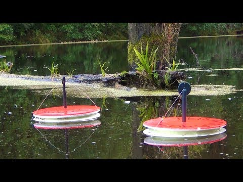 Видео: ЛОВЛЯ ЩУКИ НА КРУЖКИ.МОНТАЖ КРУЖКОВ ЧТОБЫ НЕ УПЛЫВАЛИ.