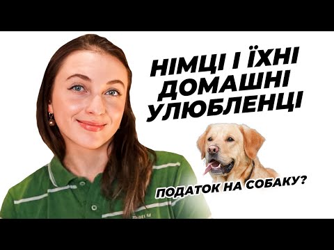 Видео: Як Німці Ставляться До Домашніх Тварин 🇩🇪 Результати Конкурсу