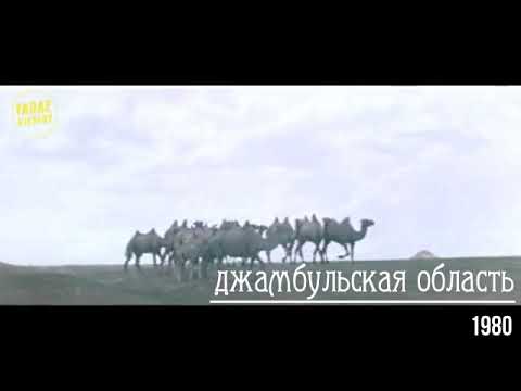 Видео: Красоты Джамбульской области, 1980 год