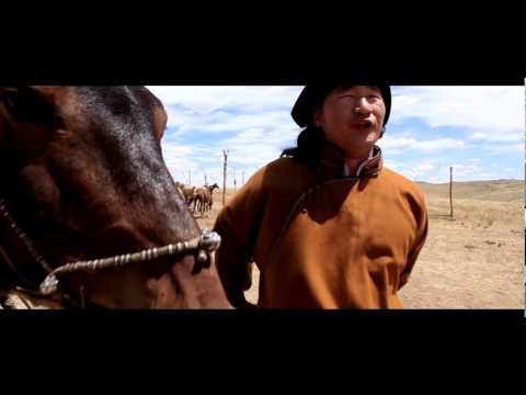 Видео: Д.Наранхүү /МУСТА/ Туулай хээр D.Narankhuu /MUSTA/ Tuulai kheer