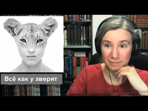 Видео: Политическое животное: стадное поведение и гражданские потребности человека. Курс "Всё как у зверят"