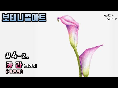 Видео: [Цветочный рисунок/Ботаническое искусство] №4-2. Калла цветной карандашный рисунок (Урок рисования)