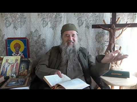 Видео: "Учитесь говорит с богом молча " Учение Преподобного Серафим Саровского 7 чтение
